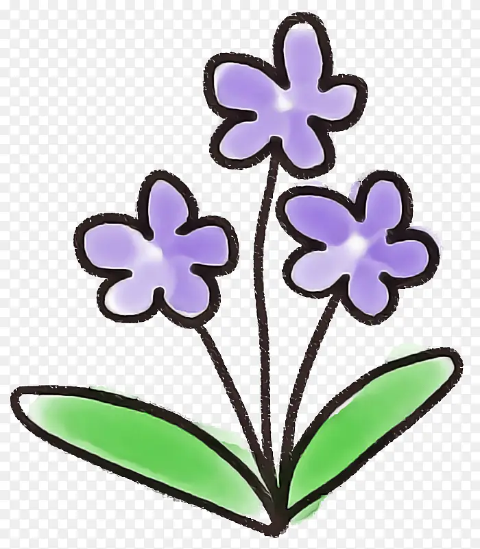 水彩花 紫色 植物