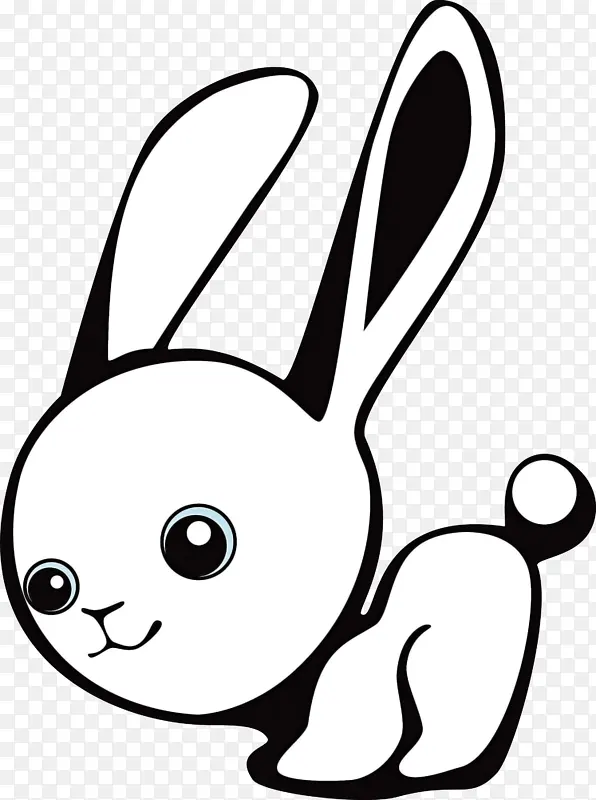 兔子 复活节 白色