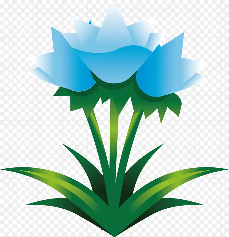 复活节花 春天的花 绿色