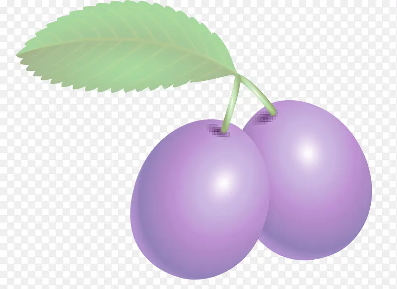李子 水果 紫罗兰