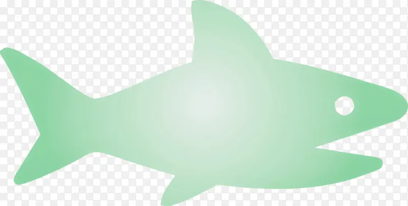 鲨鱼宝宝 鲨鱼 绿色