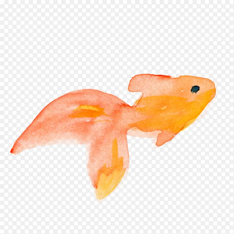 水彩鱼 金鱼 橙子