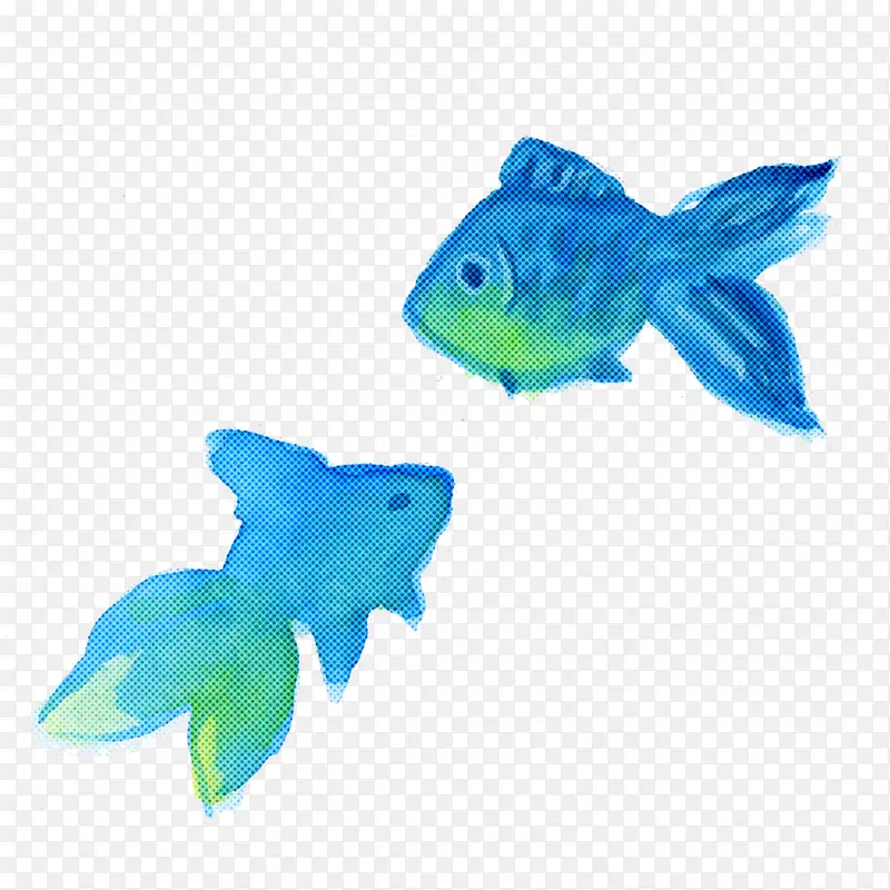 水彩鱼 鱼 绿松石