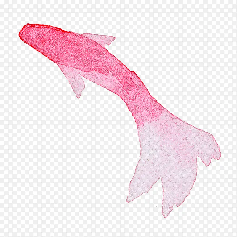 水彩鱼 粉色 翅膀