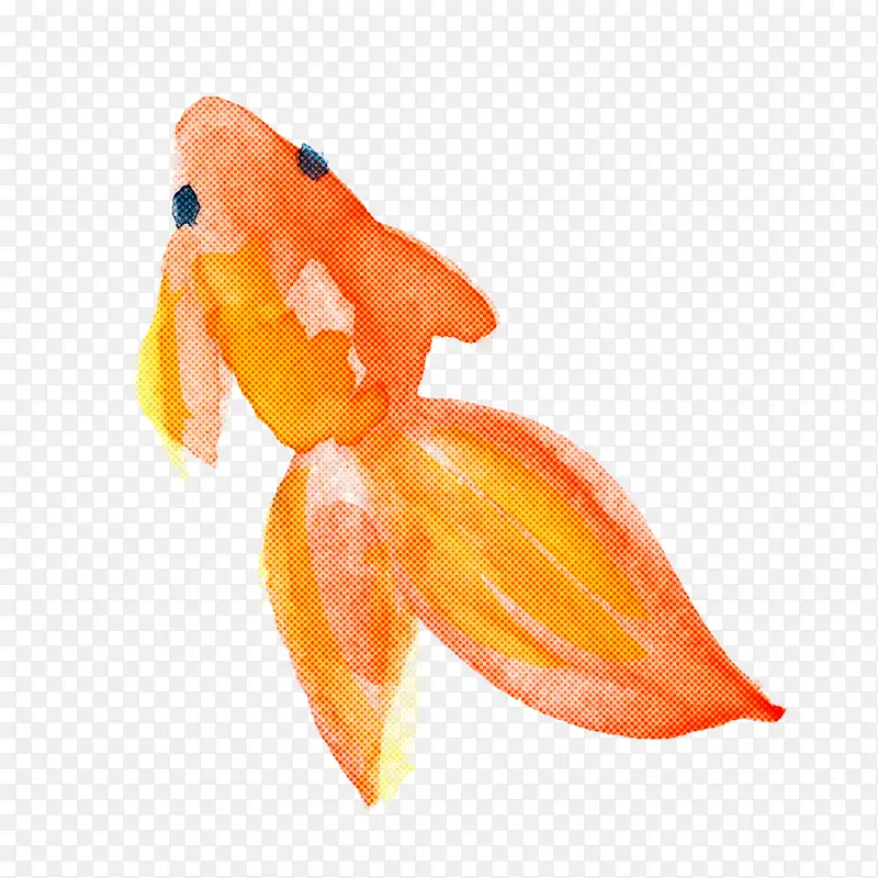 水彩鱼 橙子 金鱼
