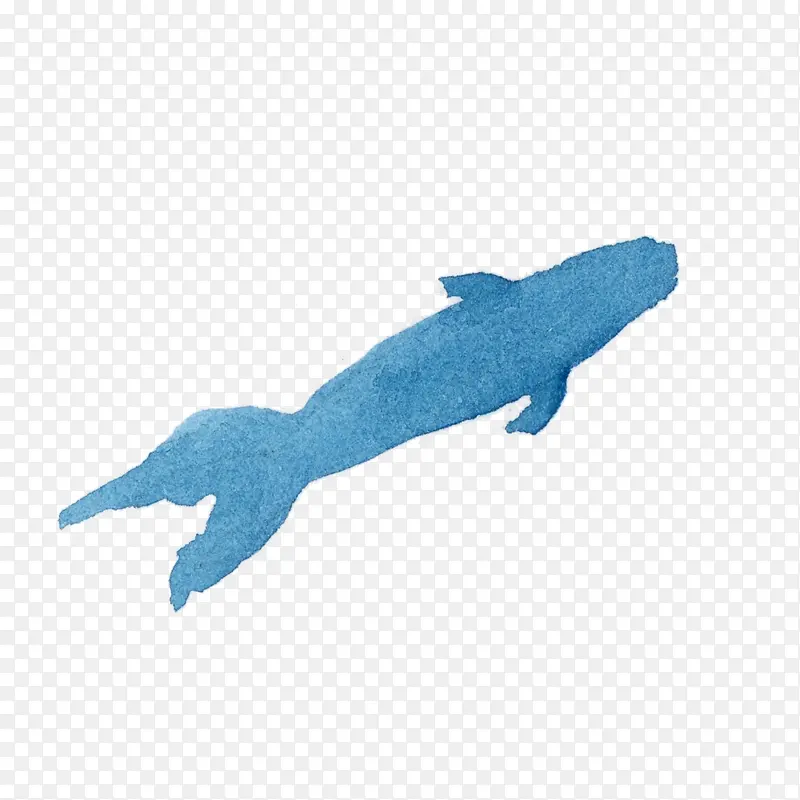 水彩鱼 鱼 动物形象