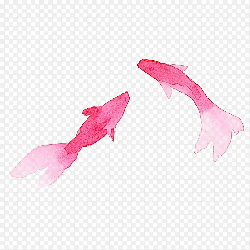水彩画鱼 水彩画 颜料