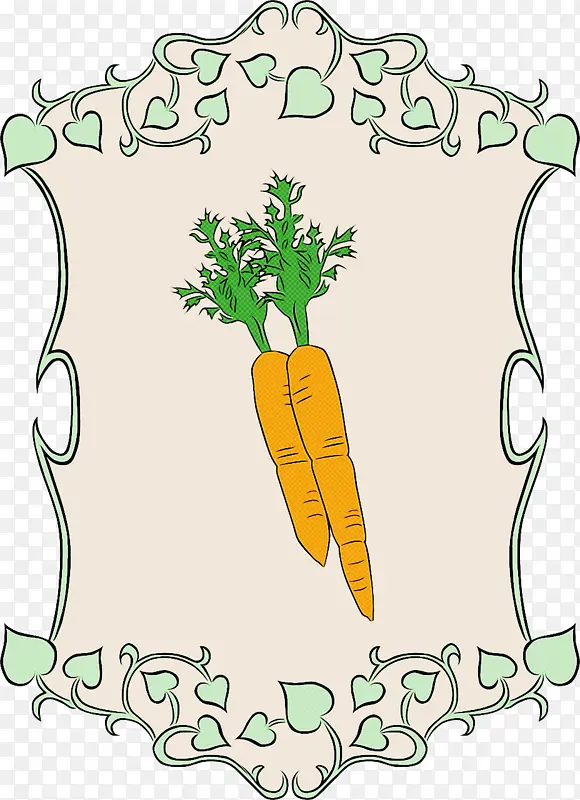 蔬菜 胡萝卜 植物