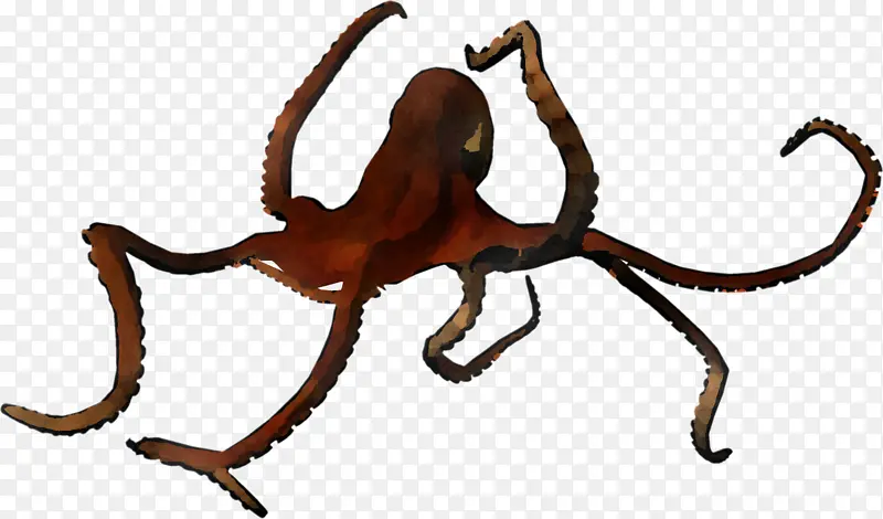 巨大的太平洋章鱼 章鱼 动物形象