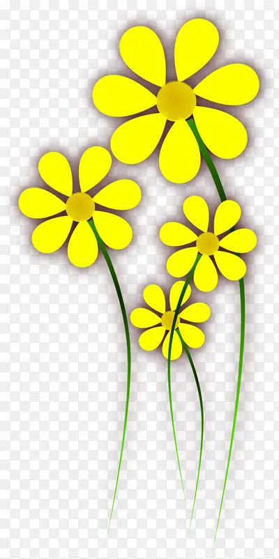 黄色 花 植物