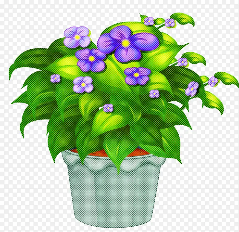 花 花盆 植物
