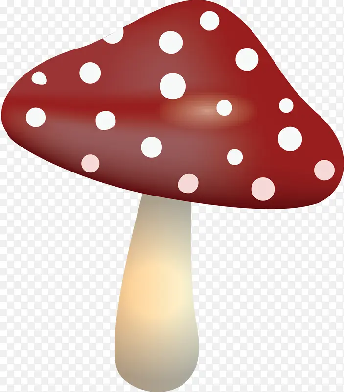 蘑菇 波尔卡圆点 木耳