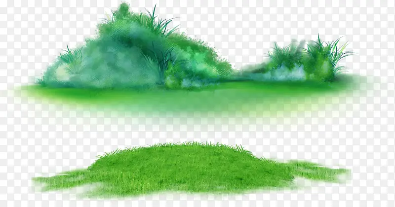 绿色 草 植物