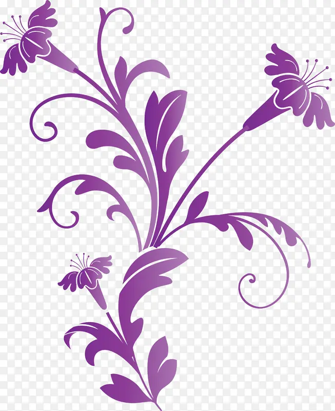 装饰框 花框 紫罗兰