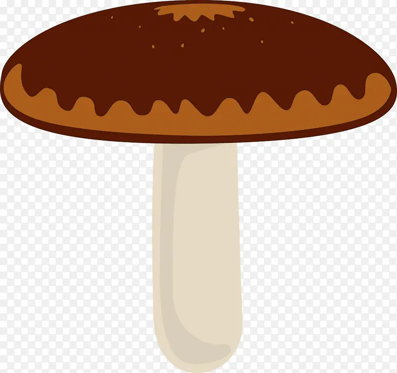 蘑菇 香菇 真菌