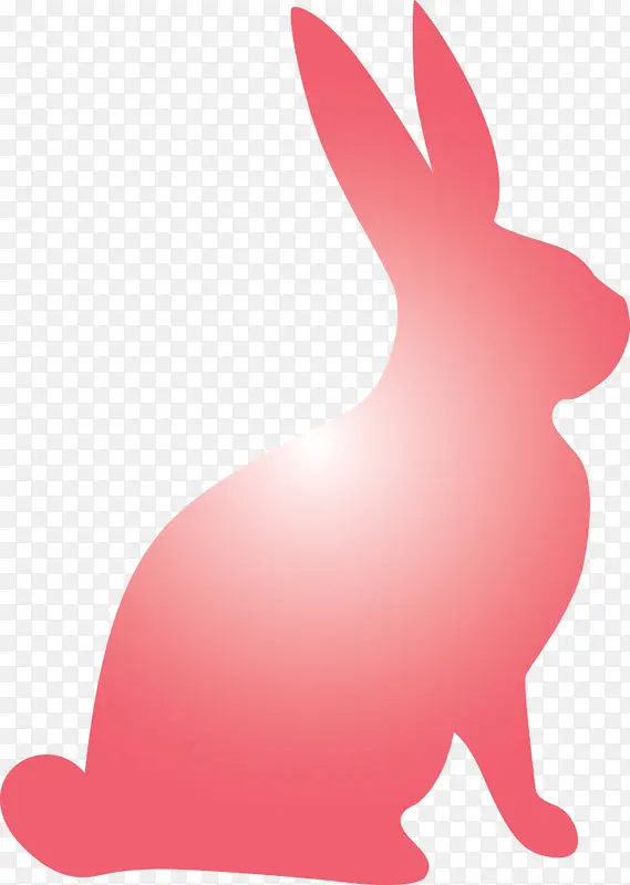 复活节兔子 复活节 兔子