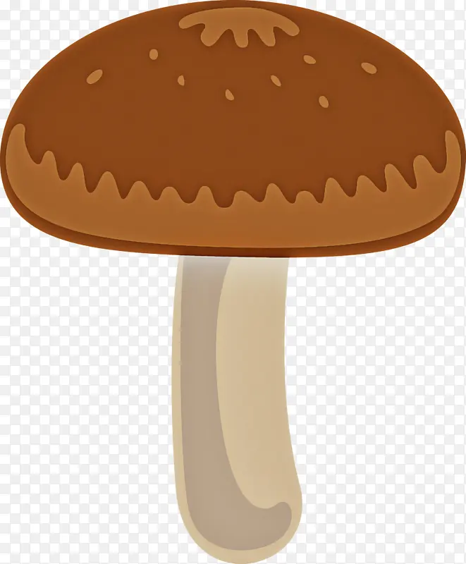 蘑菇 香菇 食用菌