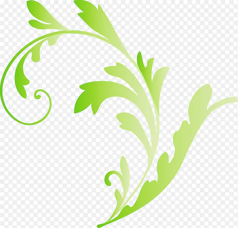 花架 装饰架 叶子