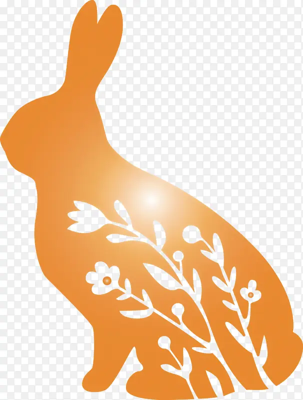 花兔 复活节 动物形象