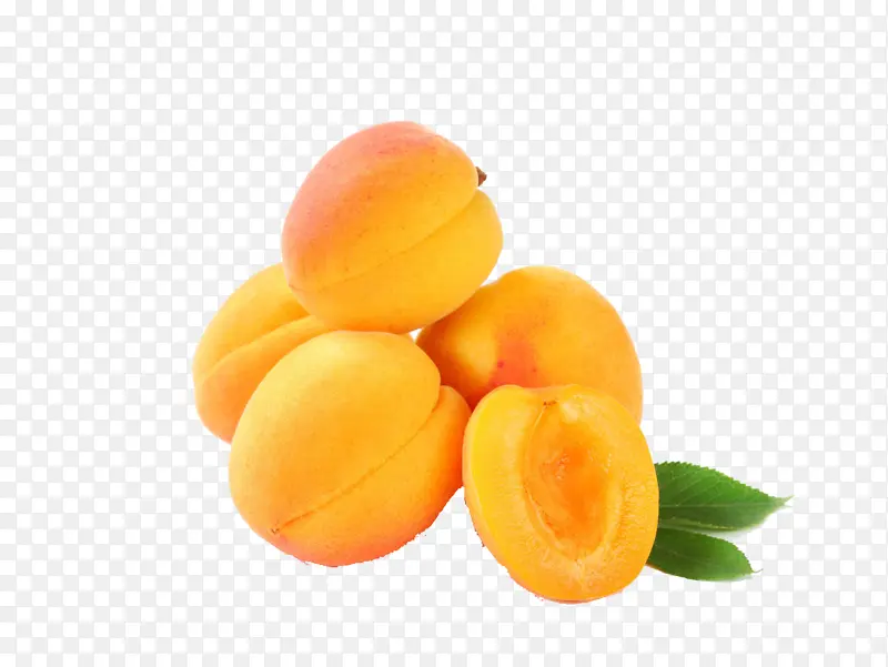 食物 黄色 杏