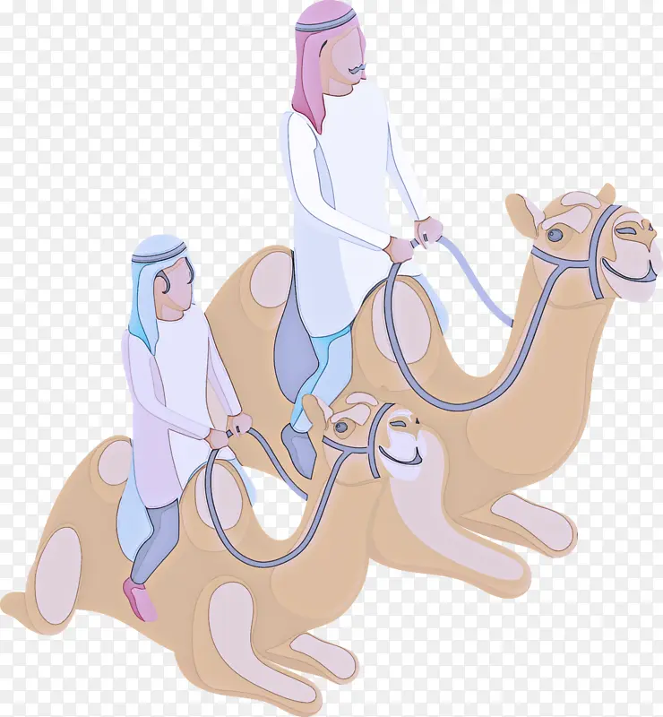 阿拉伯家庭 阿拉伯人 骆驼