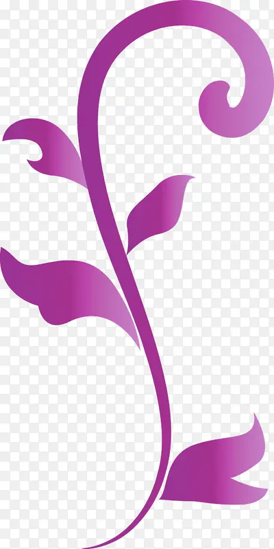 花架 紫色 品红色