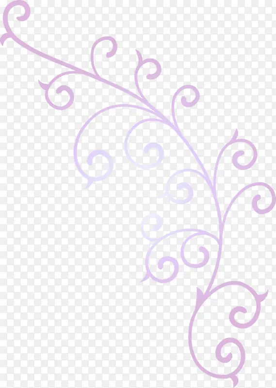 花架 紫罗兰 紫色