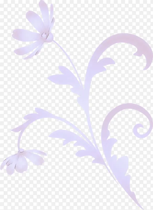 花架 紫罗兰 丁香