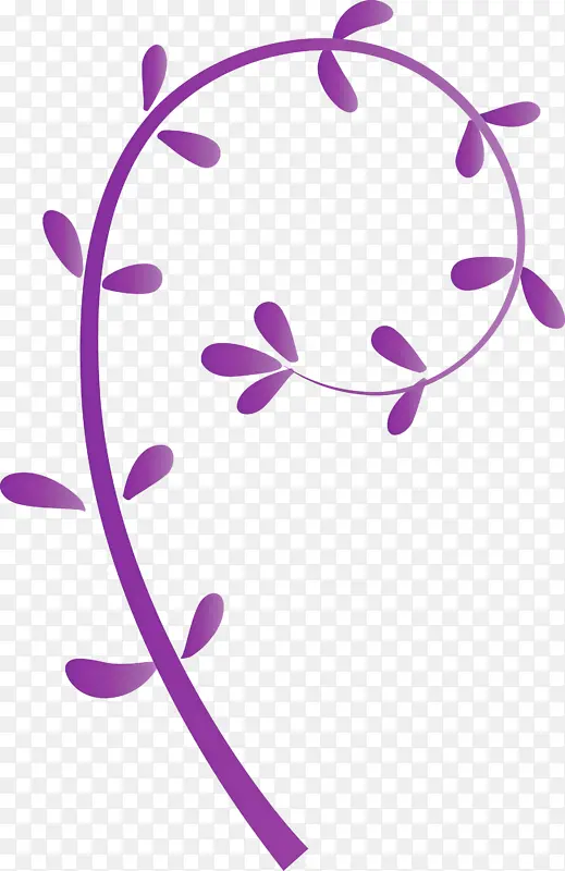 花架 紫色 叶子