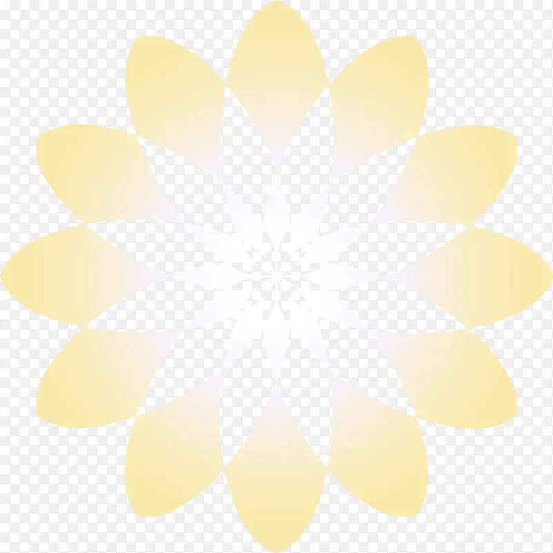 黄色 白色 花瓣