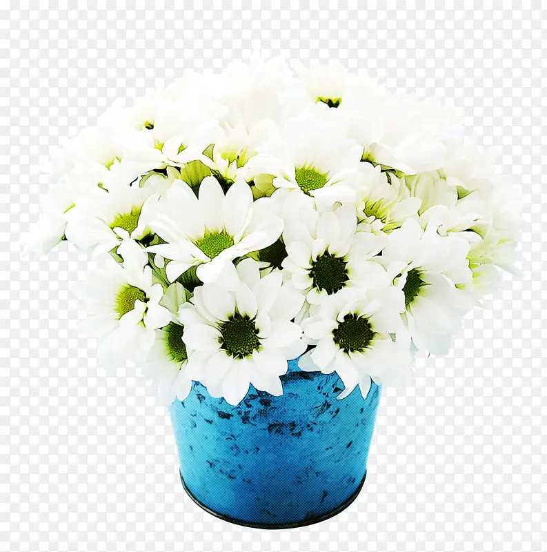 花朵 白色 蓝色