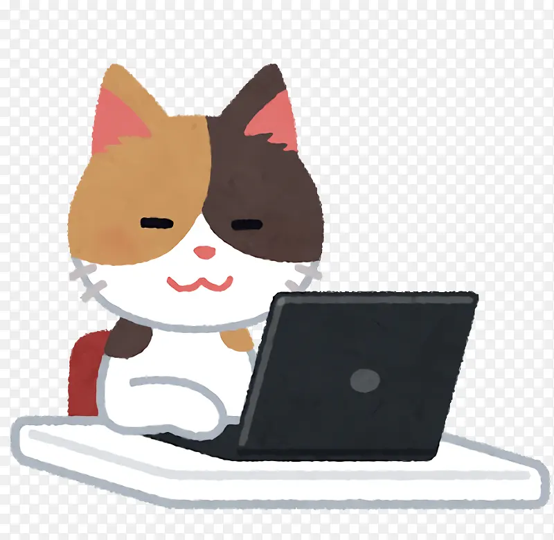 电脑 工作 猫