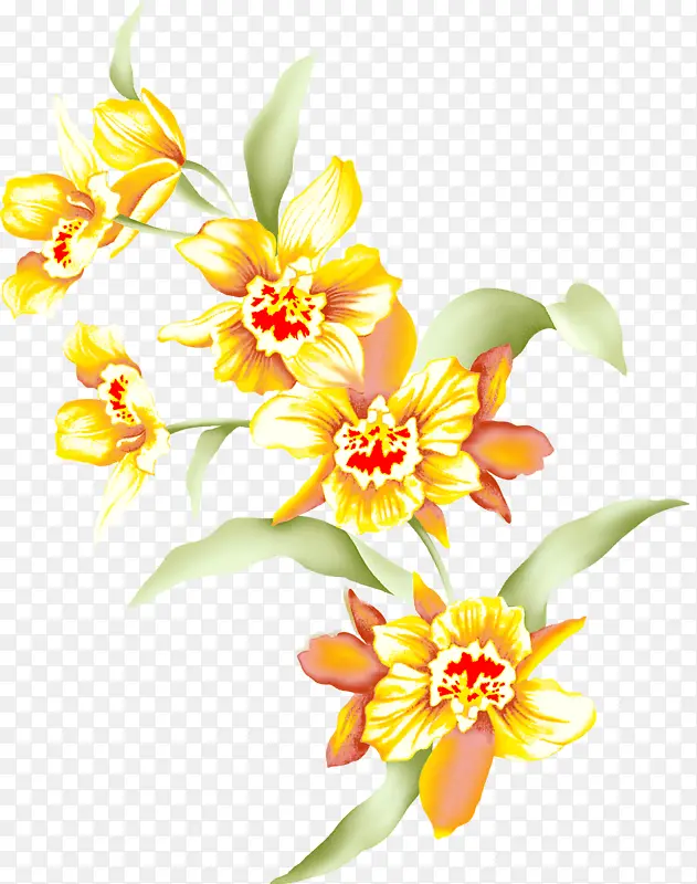 花 花瓣 黄色
