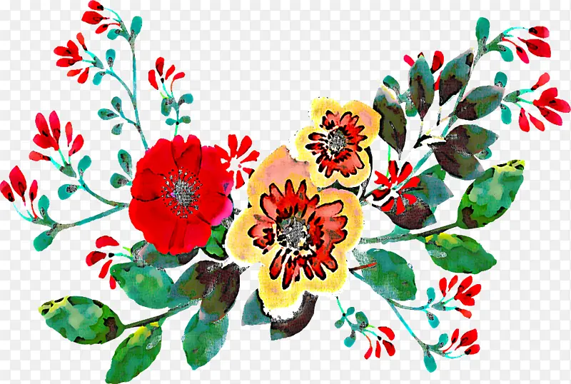 花朵 红色 植物
