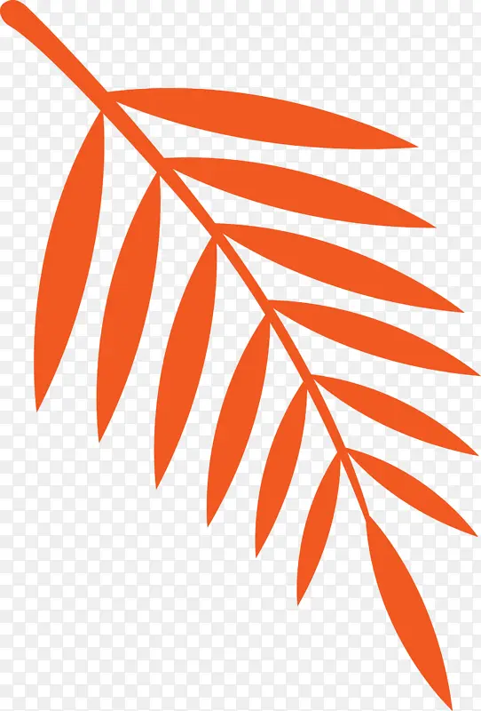 叶 橙 树
