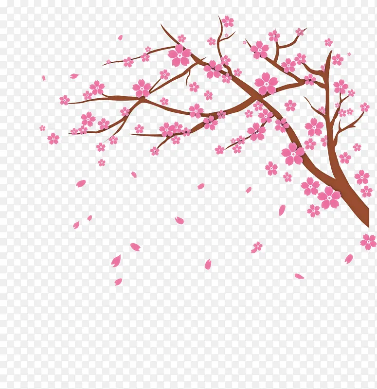 樱花 全国樱花节 绘画