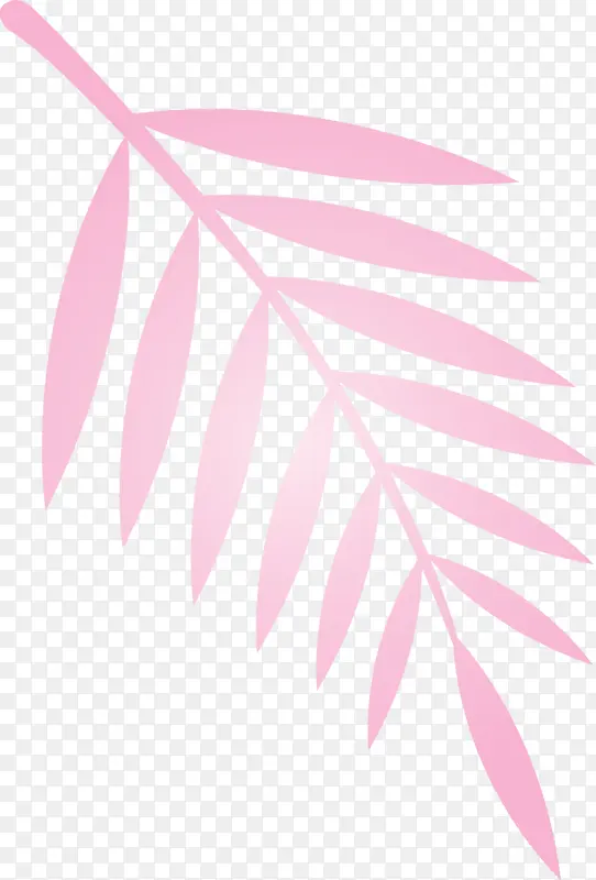 叶子 粉色 线条