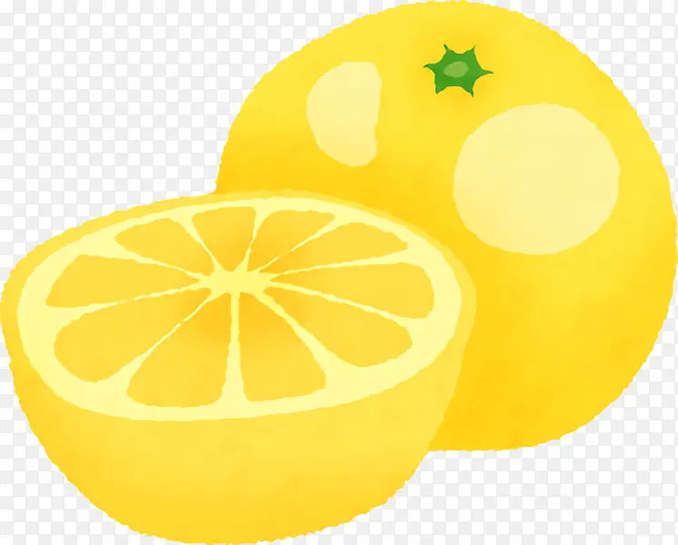 柠檬 葡萄柚 甜柠檬