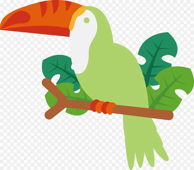 金刚鹦鹉巨嘴鸟喙绿色线条