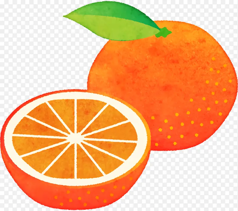 韦尔蒂柑橘 柑橘 葡萄柚