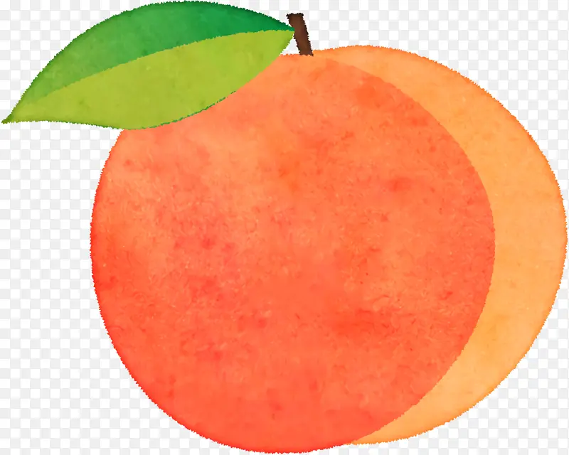 葡萄柚 桃子 苹果