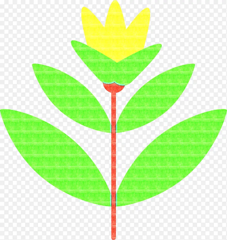 叶 植物茎 花