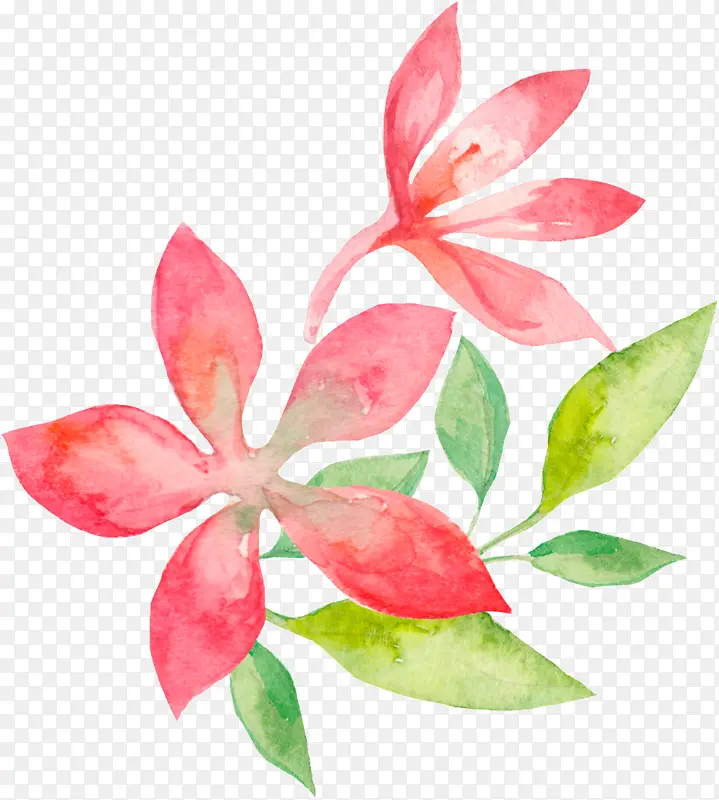 水彩画 花卉 花卉设计