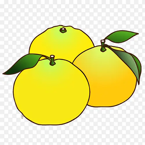 柠檬 香橼 黄色