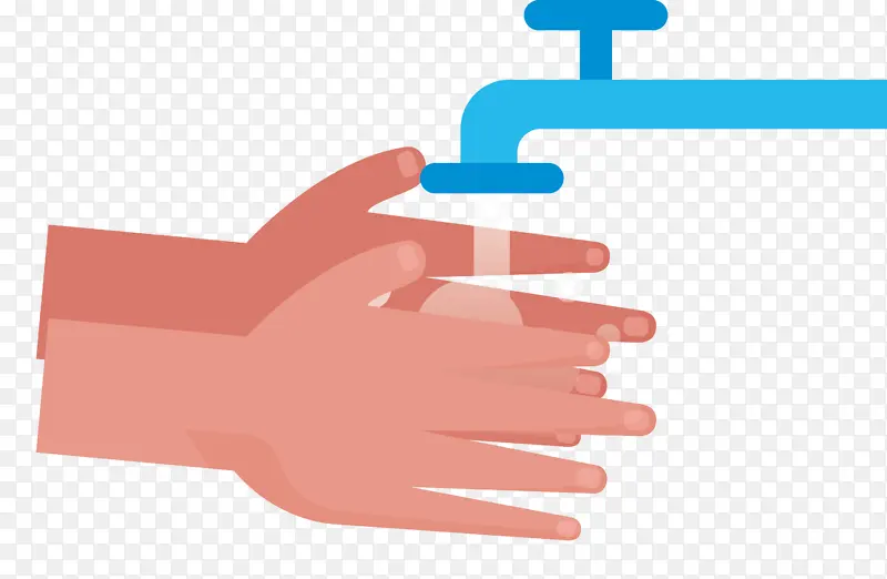 洗手 手卫生 手模型