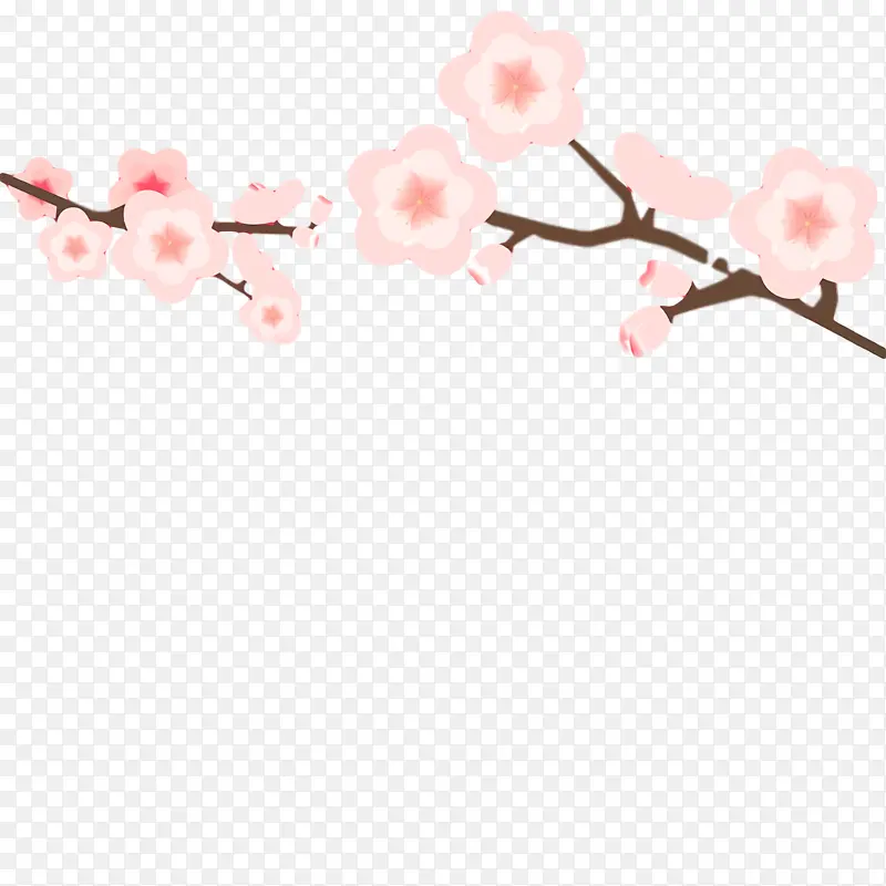 樱花 花瓣 树枝