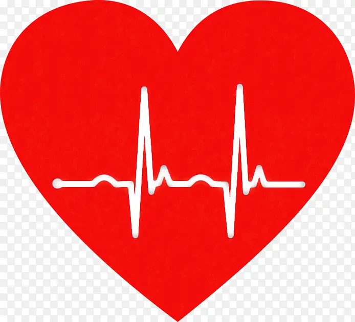 心血管疾病 心脏 心率