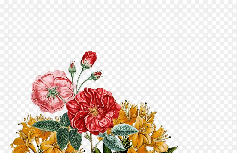 花卉设计 卡通 花园玫瑰