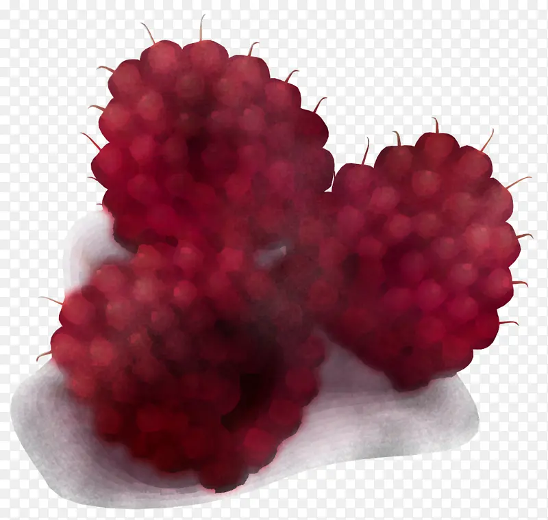 覆盆子 浆果 波森莓