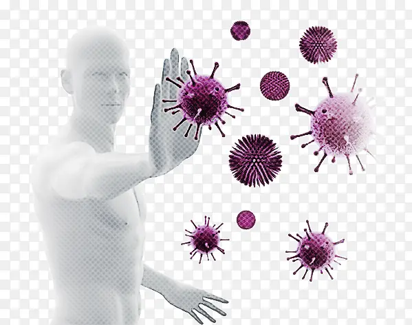 免疫 免疫系统 健康